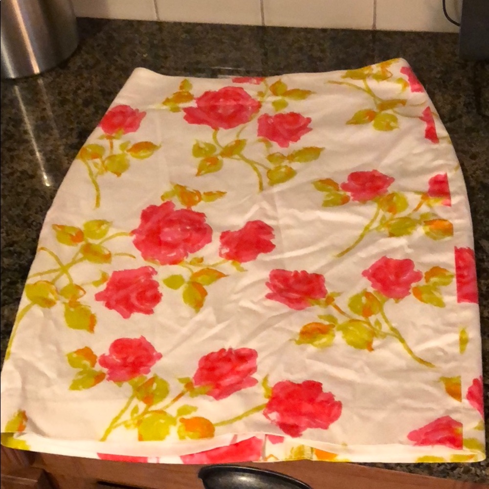 Ann Taylor Skirt Size 4